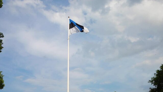  Estonian flag waving in the sky