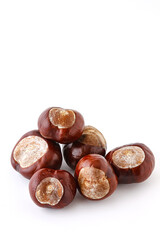 Horse chestnut nut