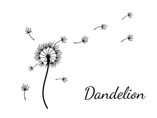 Dandelion_background3-16.eps