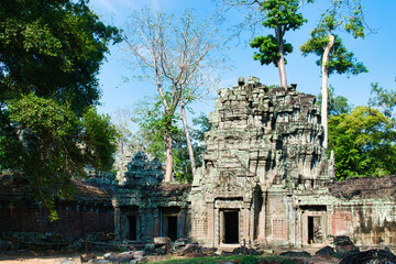 Naklejka premium Siem Reap - Cambodia - April 25th 2022: Ta Prohm Temple at the Ankor Wat temple complex near Siem Reap in Cambodia. 