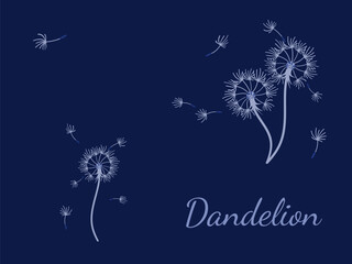 Dandelion_background5-07.eps