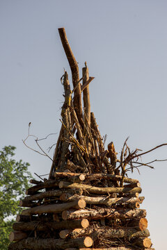 the logs for the fire are out in the field
