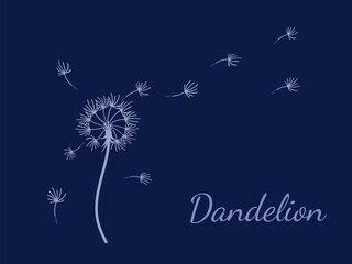 Dandelion_background5-16.eps