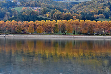 Obraz premium Herbstlich gefärbte Allebäume spiegeln sich im Wasser des Stubenbergsees in der Steiermark