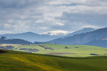 Beautiful spring landscape with green meadows and snowy mountains in the background. View of The Velka Fatra national park in Slovakia, Europe.