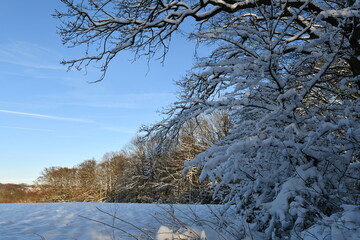 Winterliche Landschaft im Bergischen Land 
