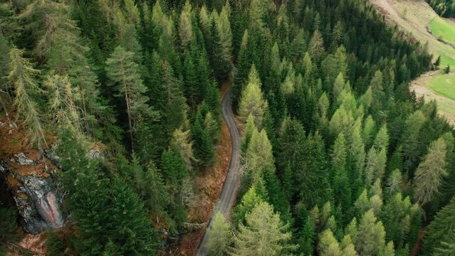 Aerial drone shot of camera flying backwards, revealing winding gravel road in mountain forest. Beautiful cinematic natural landscape background