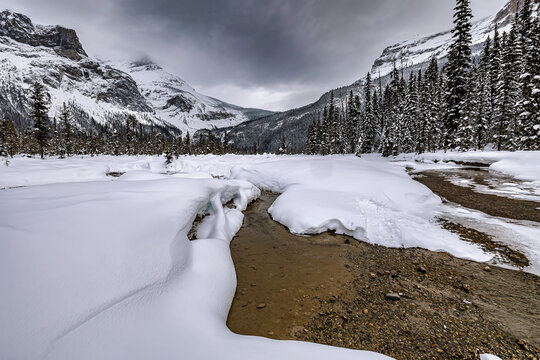 Stream and Snow on Rocky Mountain Trails during Winter 