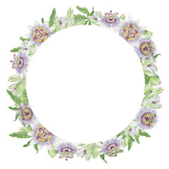 Passion flower round watercolor frame isolated illustration. Purple and green hand painted Passiflora floral wreath with flowers and buds.