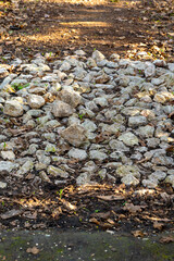 Obraz premium pile of rocks and leaves on the ground