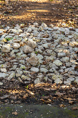 pile of rocks and leaves on the ground