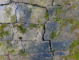 The texture of an old concrete wall with large cracks all over the area and green moss growing on its surface. Vintage wall in the park.
