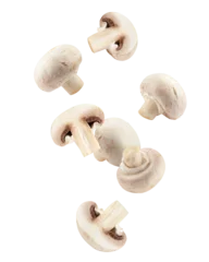 Foto auf Acrylglas Falling champignon, mushroom, isolated on white background, full depth of field © grey