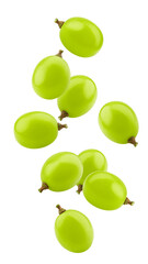 Falling green Grape, isolated on white background, full depth of field