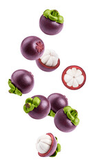 Falling mangosteen isolated on white background, full depth of field