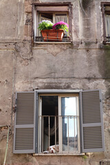 Fototapeta na wymiar Vintage house with dog in window in downtown of Tivoli, Italy 