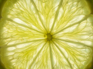 Slices of fresh juicy green lime fruit. Cut texture. Flat lay, top view
