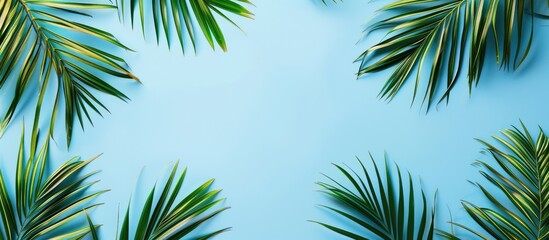 Tropical palm leaves on a blue backdrop with empty space for text, ideal for a travel agency's top view banner.