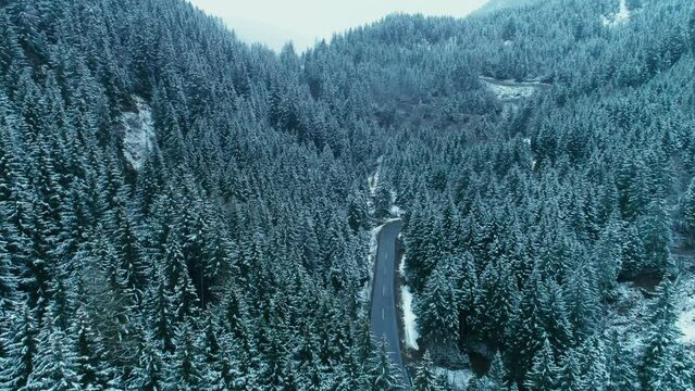 Epic drone shot of road highway in between snowy winter forest. Camera fly over winding mountain road in beautiful winter landscape. Snow covered pine trees
