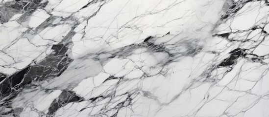 Close up of a bedrock outcrop with a white marble texture featuring striking black veins,...