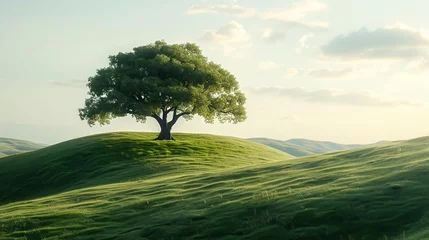 Fotobehang A green tree on a grassy hill © frimufilms