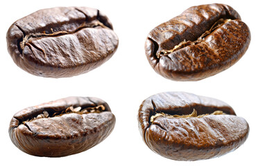  Collection of single roasted coffee bean cutout isolated on white transparent background