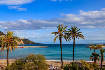 Fototapeta na wymiar Palm trees on a beach of Mediterranean sea. Summer vacation concept