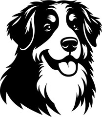 Bernese Mountain Dog - obrazy, fototapety, plakaty