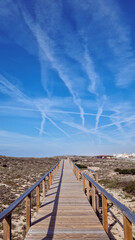 A vibrant blue sky with white clouds and airplane smoke stretches above a long wooden boardwalk on...