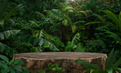 Large tree stump cut for product presentation in the tropical forest