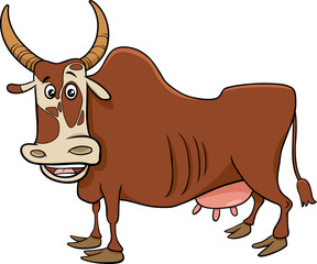 zebu cow farm animal character cartoon illustration