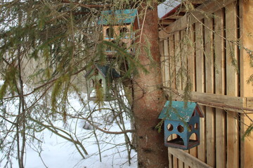Wooden birdhouses on the tree in the winter forest, close-up