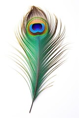 Fototapeta premium Beautiful peacock feather isolated on white background