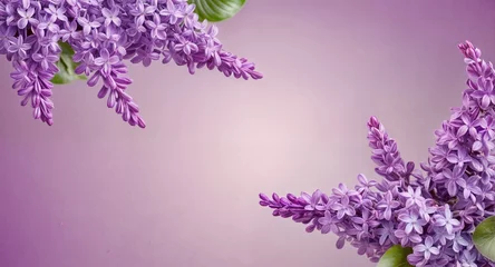 Poster lilac background with branches of blooming lilac around the edges, with free, empty space © ANASTASIIA