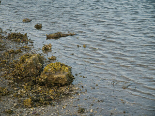 Wide of small and large rocks, sand and shells in the lower left corner on the beach with small rippled waves. On a sunny day with reflections in the water. Horizontal room for copy. Gulfport, FL
