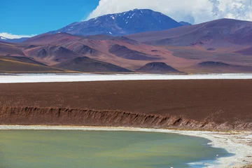 Sierkussen Northern Argentina © Galyna Andrushko