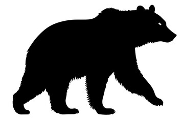 Fototapeta premium Bear wild animal silhouettes on the white background. Grizzly bear, polar bear, California bear silhouette, flat vector icon for animal wildlife apps and websites 