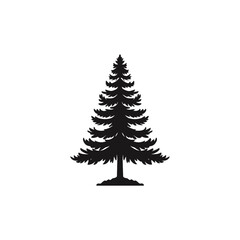 Fototapeta premium silhouette of pine tree 