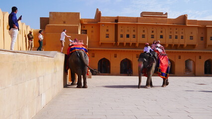 Balade à dos d'éléphant d'asie dans le fort Amber, promenade animalière incourtounable, plaisir...