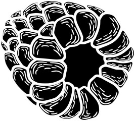 raspberry illustration fruit silhouette leaf logo tree icon plant outline summer nature branch garden organic food berry green vegetarian shape sweet natural healthy for vector graphic background