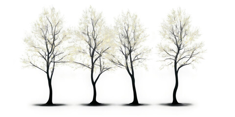 A series of luminous Transparent Background Images 