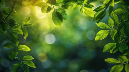 Fototapeta na wymiar Summer Garden Greenery: Natural Leaves for an Eco-friendly Background or Wallpaper