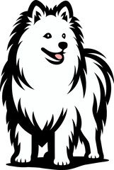 American Eskimo Dog