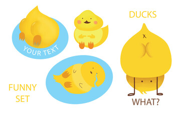 A set of funny yellow ducks. A place for your text. Cartoon characters for your brand design. Collection of cute birds.