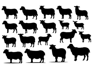 Set of a Sheep  silhouette vector