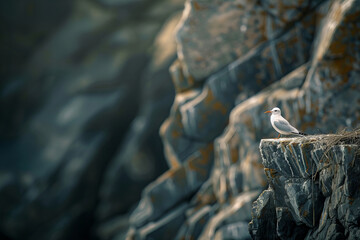 Solitary Seabird Perched on Rugged Cliff Edge Nature Banner