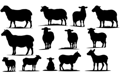 Set of a Sheep  silhouette vector