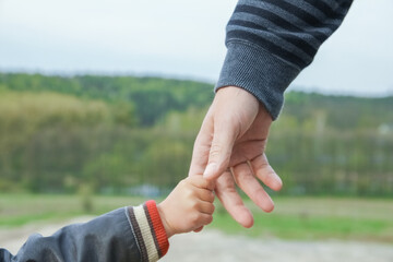 A beautiful hands of parent and child outdoors in the park - obrazy, fototapety, plakaty