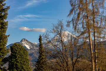 Fototapeta premium Austrian Alps in spring Karawanken ridge in Carinthia at sunset through the trees in the foreground