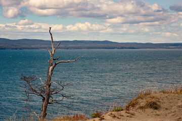 Wild scenery of the Tierra del Fuego National Park, Ushuaia Argentina